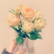 chou＊chou プロフィール必読の画像