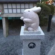 たな丸の画像