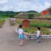 Kantaroの画像