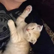 じょな