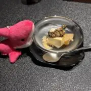 プテラの画像