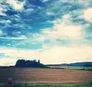 さー⭐︎の画像