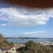 タロタロ