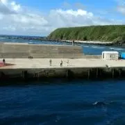 まねゆな