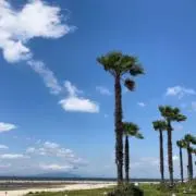 miの画像