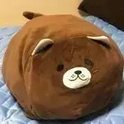 Y4の画像