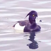 ジャック野郎