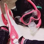 poの画像