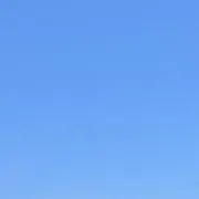 mimiの画像