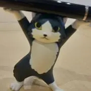 ぽんずの画像