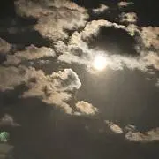 じゃくの画像