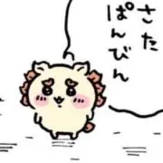 限界シサの画像