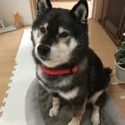 周りが釣れだしたら焦るの画像