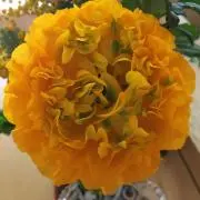 iの画像