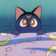 ☾⋆.˚の画像