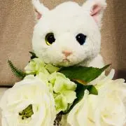 にゃんにゃん