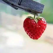 ⭐︎7/5-7発送不可⭐︎MAYUKOの画像