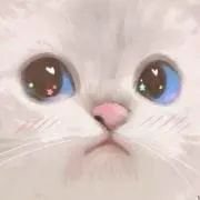 C୨୧˙˳⋆の画像