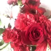 あーりん♡
