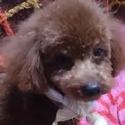 みぃたん★