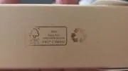 モメの画像