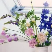 liliの画像