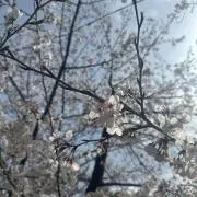 ❁はな❁お値下げ中の画像