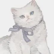 kity(プロフ必読！！)の画像