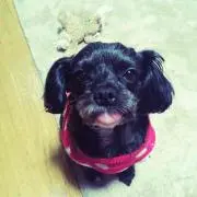 リリス