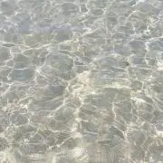 たまご