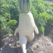ニッキーくん