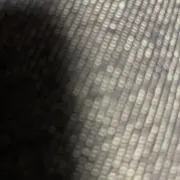 アーサーの画像