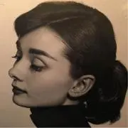 オードリの画像