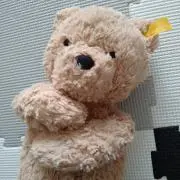 キャシャの画像