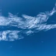 れなころの画像