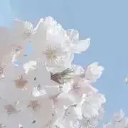 ななの画像