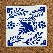 あおいとり♪の画像