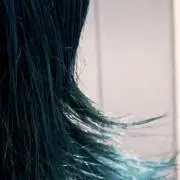 天ぷらの画像