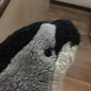 ゆ