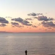 すーさん