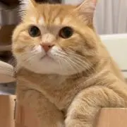 みゃ※おまとめ可の画像