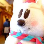 mac