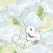 イガ