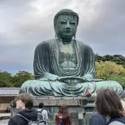 shohitotanの画像