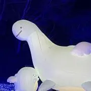 まるる
