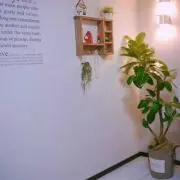 Yuuuuの画像