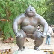 Tあの画像