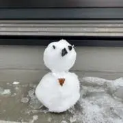 たくの画像