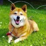 Yui  プロフ必読の画像