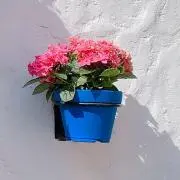 Kimiの画像